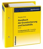 Handbuch der Grundsicherung und Sozialhilfe