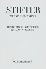 Werke und Briefe 9/1: Wien und die Wiener in Bildern aus dem Leben