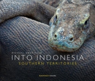 INTO INDONESIA. Southern Territories (Michael Grünwald,Michael Grünwald,Michael Grünwald,Fiona Busfield)()