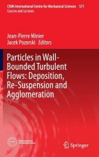 Particles in Wall-Bounded Turbulent Flows: Deposition, Re-Suspension and Agglomeration