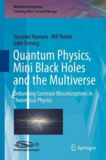 Quantum Physics, Mini Black Holes, and the Multiverse