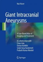 Giant Intracranial Aneurysms