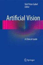 Artificial Vision