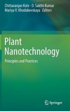 Plant Nanotechnology