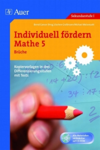 Individuell fördern: Mathe 5 Brüche