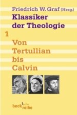 Klassiker der Theologie Bd. 1. Von Tertullian bis Calvin