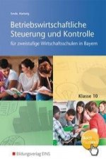 Betriebswirtschaftliche Steuerung und Kontrolle für die zweistufige Wirtschaftsschule in Bayern