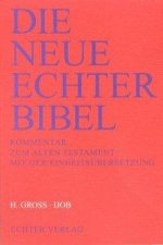 Die Neue Echter-Bibel. Kommentar / Kommentar zum Alten Testament mit Einheitsübersetzung / Ijob