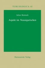 Aspekt im Neuuigurischen