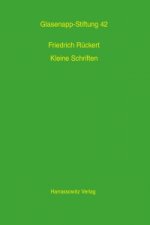 Kleine Schriften zur Indologie