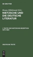 Nietzsche und die deutsche Literatur, I, Texte zur Nietzsche-Rezeption 1873-1963