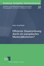 Effiziente Steuerordnung durch ein europäisches Musterabkommen?