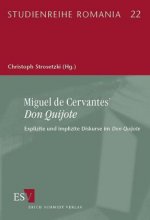 Miguel de Cervantes' 