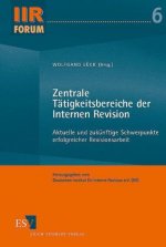 Zentrale Tätigkeitsbereiche der Internen Revision