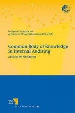 Common Body of Knowledge in Internal Auditing