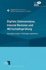 Digitale Datenanalyse, Interne Revision und Wirtschaftsprüfung