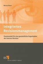 Integriertes Revisionsmanagement