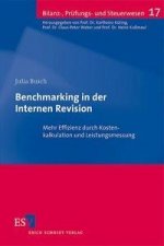 Benchmarking in der Internen Revision