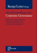 Abschlussprüfung und Corporate Governance