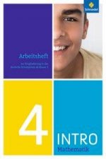 INTRO Mathematik SI - Arbeitsheft 4
