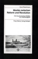 Mexiko zwischen Reform und Revolution.