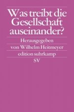 Was treibt die Gesellschaft auseinander?