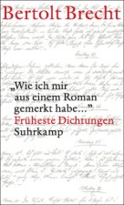 'Wie ich mir aus einem Roman gemerkt habe...'