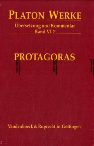 VI,2 Protagoras