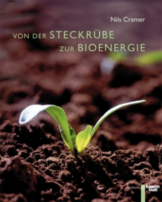 Von der Steckrübe zur Bioenergie