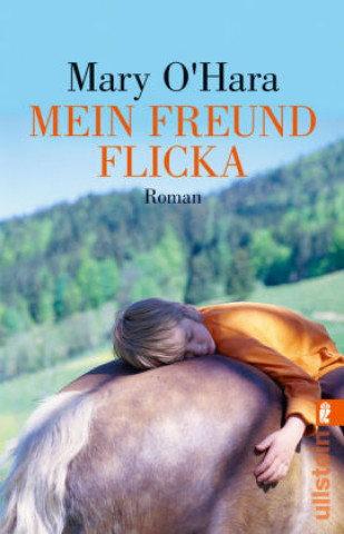 Mein Freund Flicka