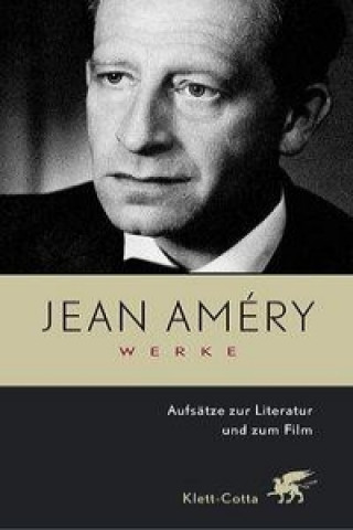 Werke 5. Aufsätze zur Literatur und zum Film