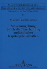Steuerumgehung durch die Einschaltung auslaendischer Kapitalgesellschaften