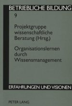 Organisationslernen Durch Wissensmanagement