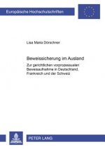 Beweissicherung Im Ausland