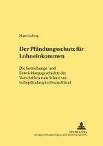 Pfaendungsschutz Fuer Lohneinkommen