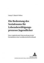 Bedeutung Des Sozialraums Fuer Lebensbewaeltigungsprozesse Jugendlicher