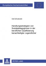 Handlungsstrategien Von Sozialpaedagoginnen in Der Beruflichen Qualifizierung Benachteiligter Jugendlicher