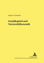 Sozialkapital Und Netzwerkoekonomik