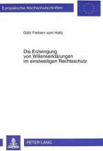 Die Erzwingung von Willenserklaerungen im einstweiligen Rechtsschutz