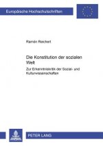 Konstitution Der Sozialen Welt