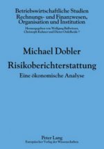 Risikoberichterstattung