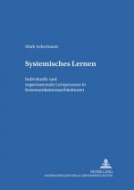 Systemisches Lernen