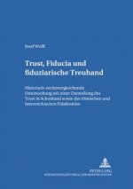 Trust, Fiducia Und Fiduziarische Treuhand