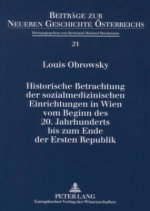 Historische Betrachtung Der Sozialmedizinischen Einrichtungen in Wien Vom Beginn Des 20. Jahrhunderts Bis Zum Ende Der Ersten Republik