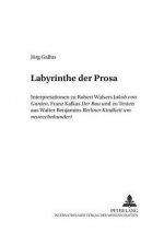 Labyrinthe der Prosa