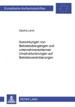 Auswirkungen Von Betriebsuebergaengen Und Unternehmensinternen Umstrukturierungen Auf Betriebsvereinbarungen