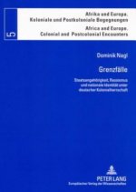 Grenzfaelle