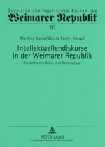Intellektuellendiskurse in der Weimarer Republik; Zur politischen Kultur einer Gemengelage