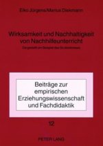 Wirksamkeit Und Nachhaltigkeit Von Nachhilfeunterricht
