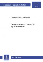 Gemeinsame Vertreter Im Spruchverfahren